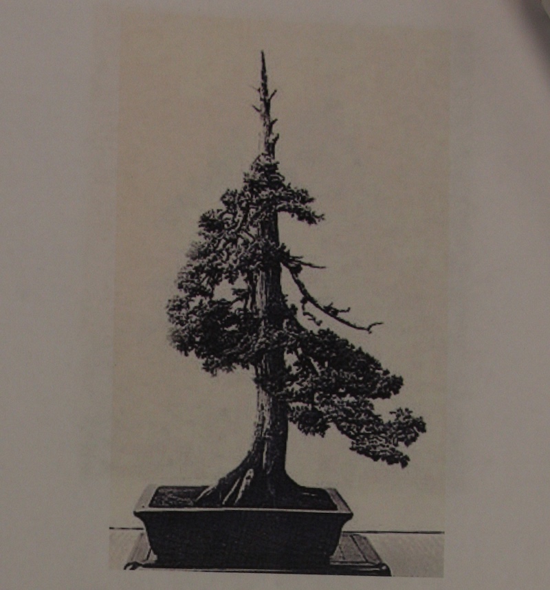 Goshin 1963