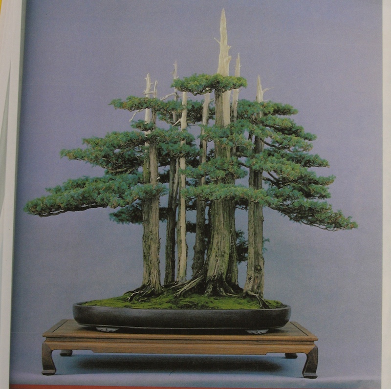 Goshin in 1986