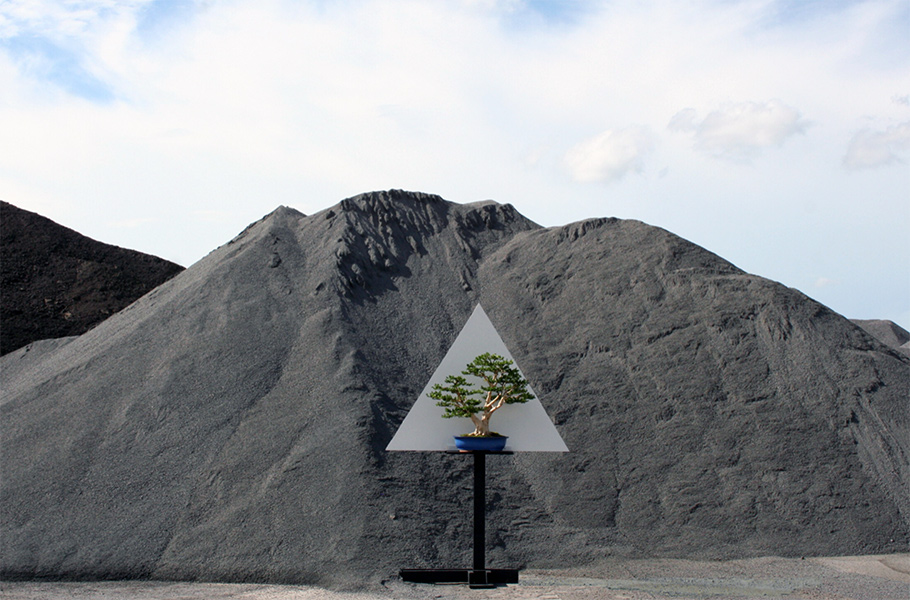 Display Bonsai trees in nature