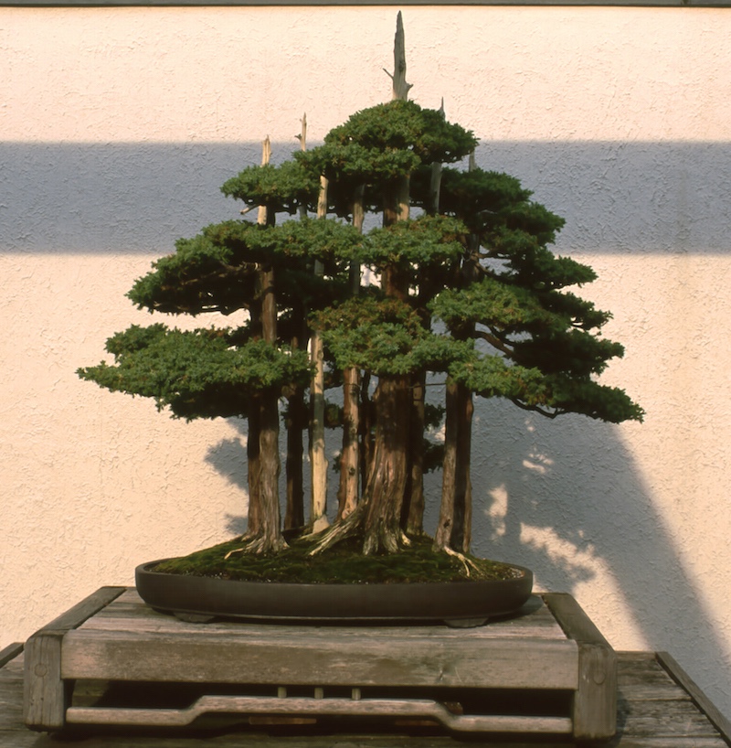 Goshin 1999