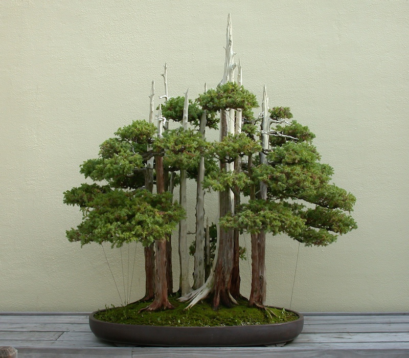 Goshin 2001