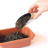 Next, add a layer of standard Bonsai soil.