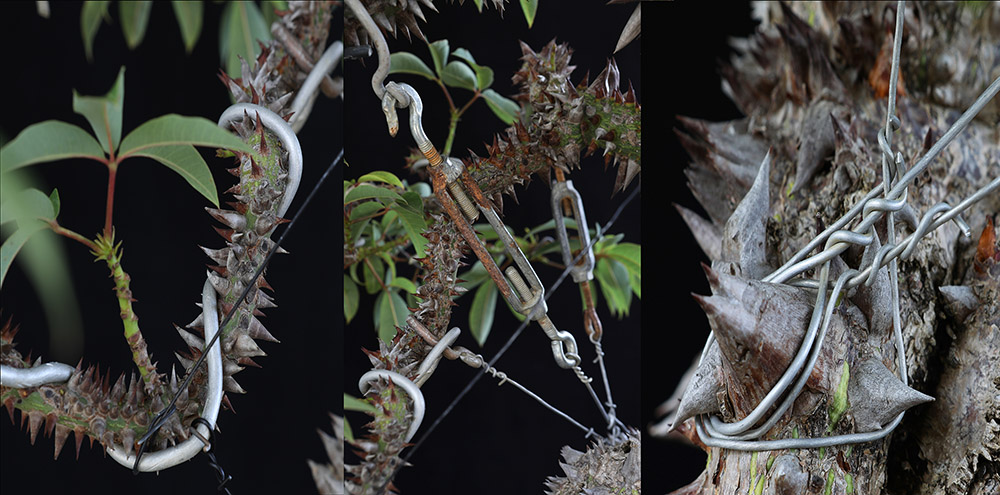 Wiring