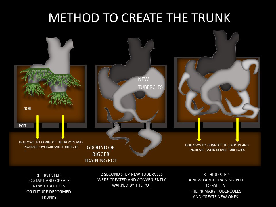 Work on the trunk