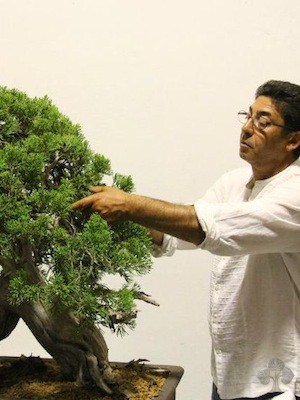 Salvatore Liporace
