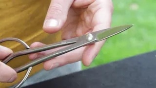 General articles for Bonsai video